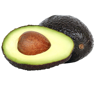 Avocat Hass